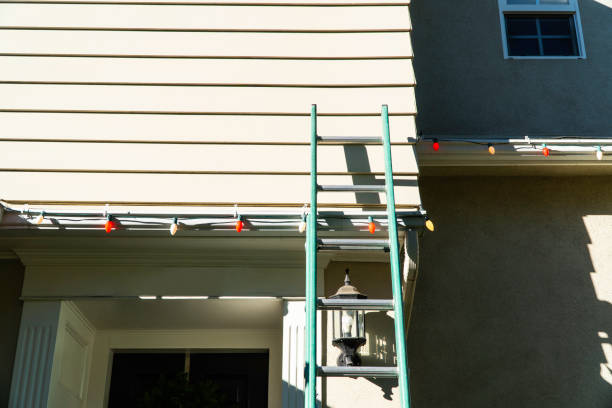 Best Insulated Siding Installation  in Century, FL