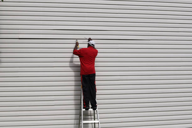 Best Siding Painting and Refinishing  in Century, FL