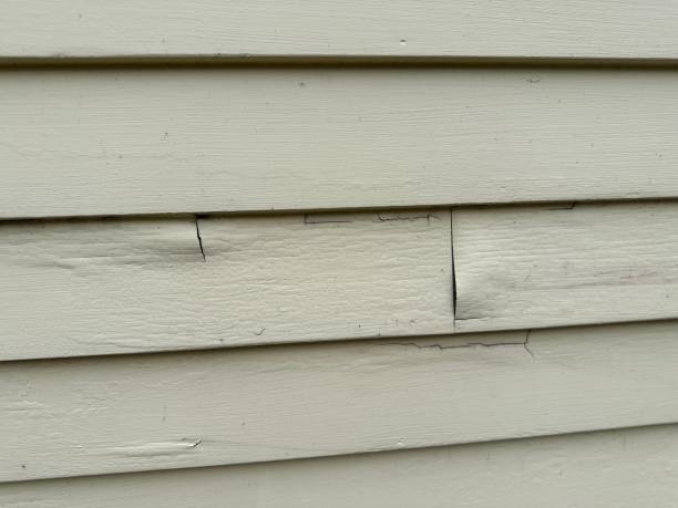 Best Storm Damage Siding Repair  in Century, FL